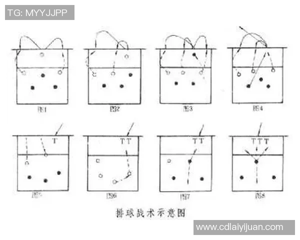 上海排球队中路突破的战术解析与技术深度剖析 上海排球队中路突破的战术解析与技术深度剖析