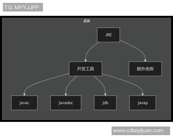 北京羽毛球队的控制策略与发展趋势深度解析 北京羽毛球队的控制策略与发展趋势深度解析