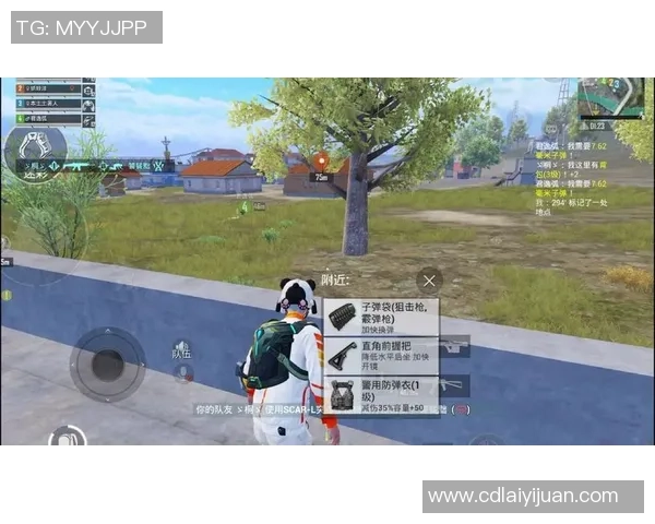 和平精英讨论热潮BLG耐力争议引发玩家热议与思考 和平精英讨论热潮BLG耐力争议引发玩家热议与思考