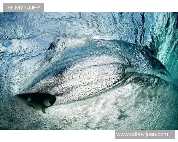 杭州极限运动队在极限运动联赛中的速度表现分析与点评 杭州极限运动队在极限运动联赛中的速度表现分析与点评